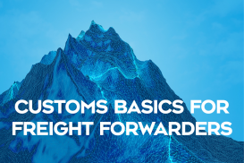Customs basics for freight forwarders, dispatchers and logisticians