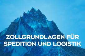 Zollgrundlagen für Spedition und Logistik
