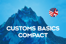 Customs Basics - Compact - ONLINE