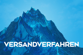 Versandverfahren/korrekte Anwendung von Bewilligungen ZV, ZE, VL